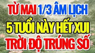 T Mai 13 m Lch 5 Tui Ny Ht Xui Tri  Trng S  Li Pht Dy loiphatday phongthuy