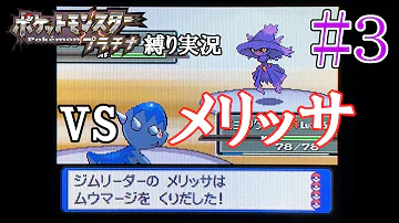 تحميل ダイゴ 手持ち