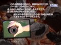 バーベキューで便利な炭です / カインズ公式TV