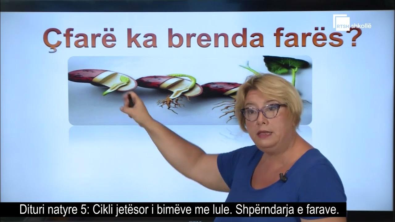 Cikli jet sor i bim ve me lule shp rndarja e farave dituri natyre 5