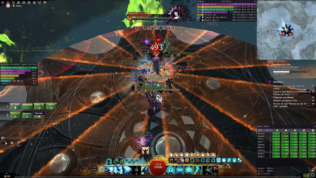 GW2 Desmina Tank Hfb