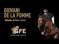 Giovani de la pomme  groupe france levage