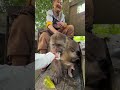 Get Well Soon. #Cute #Monkey #Xingxing #Nature