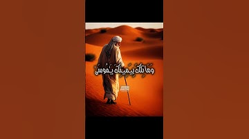 وَمَا تِلۡكَ بِیَمِینِكَ یَـٰمُوسَىٰ💙 #محمود_الشحات_أنور #القران_الكريم #تلاوه_خاشعه #foryou