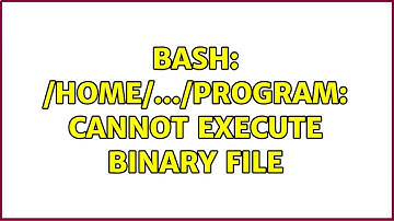 Ubuntu: bash: /home/.../program: cannot execute binary file