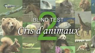 BLIND TEST : Cris d&#39;animaux n°2