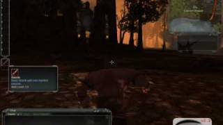 Darkfall Dwarf Creation