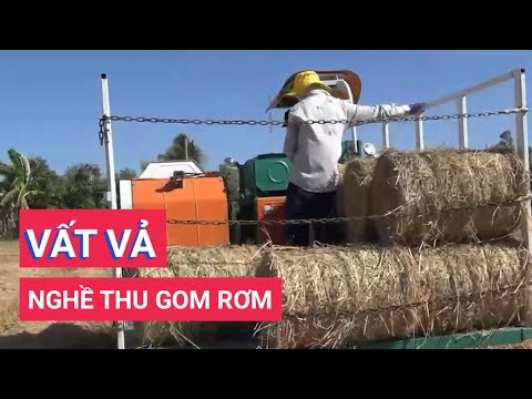 Vất vả nghề thu gom rơm dưới trời nắng nóng - YouTube