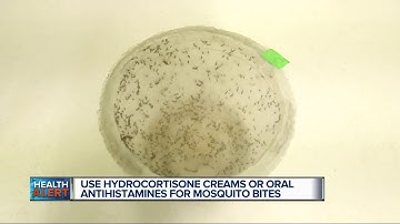 Ask Dr. Nandi: Protect yourself against summer stings and bites