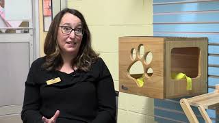 Subaru of Naples  More than a Car Dealer- Humane Society Naples