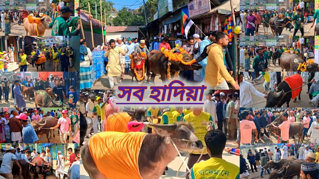 সব হাদিয়া ১০মাঘ ওরশ শরীফের দিন || ১২০তম ওরশ শরীফ 