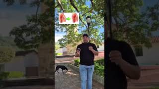 video uis lacteos palmarito
