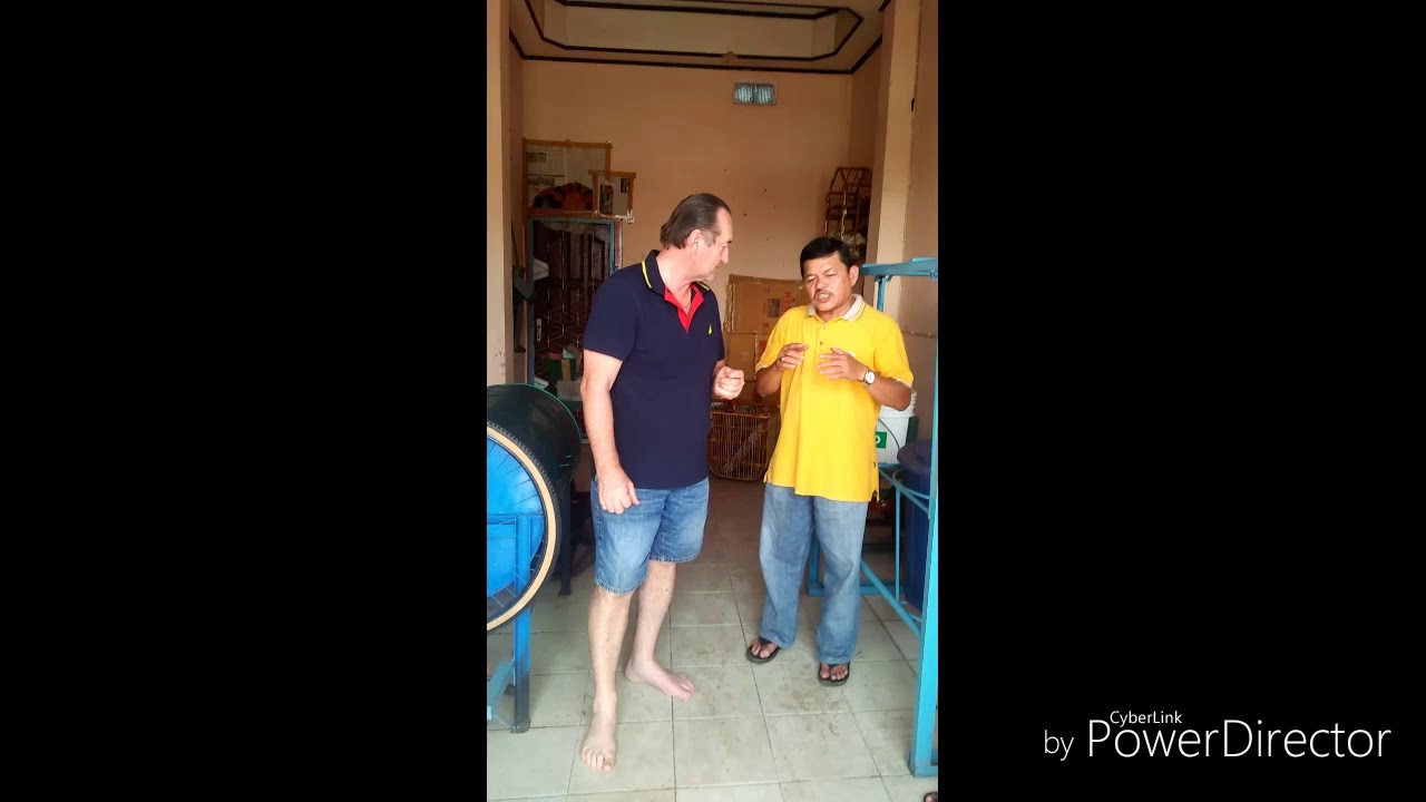 Dragon Blood Powder Super Quality