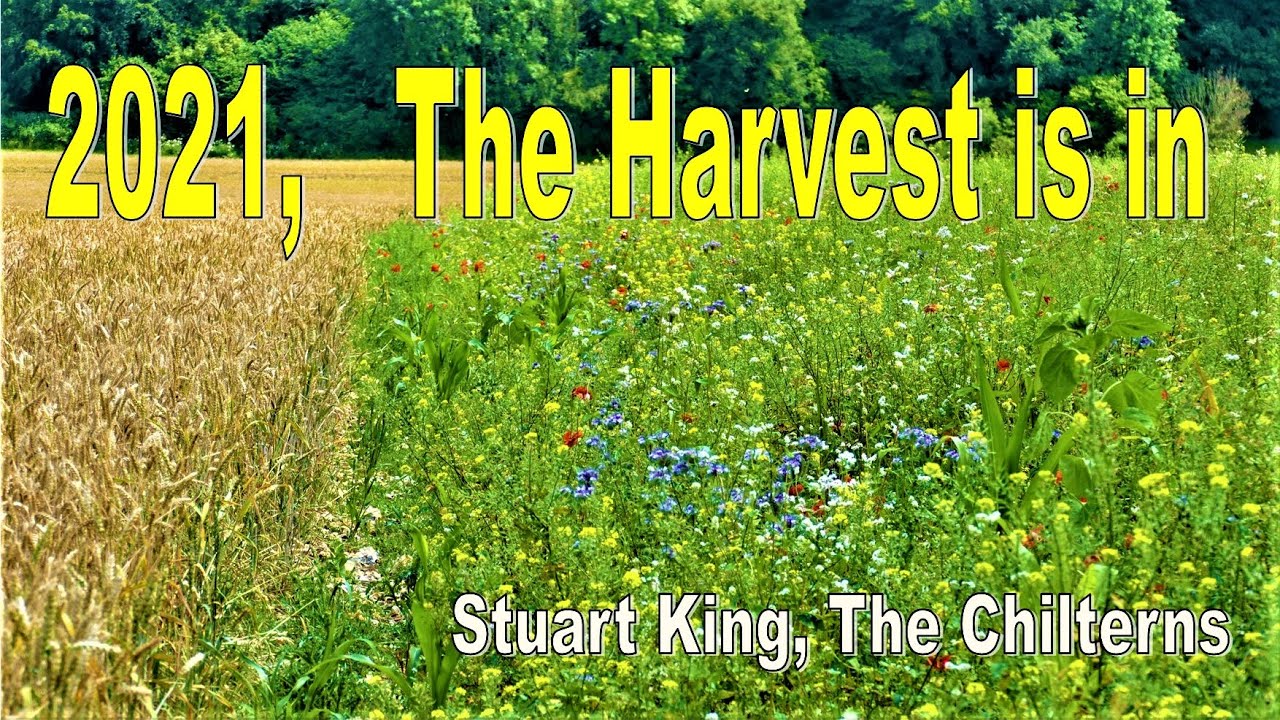Harvest in Little Missenden and Holmer Green 2021Stuart King