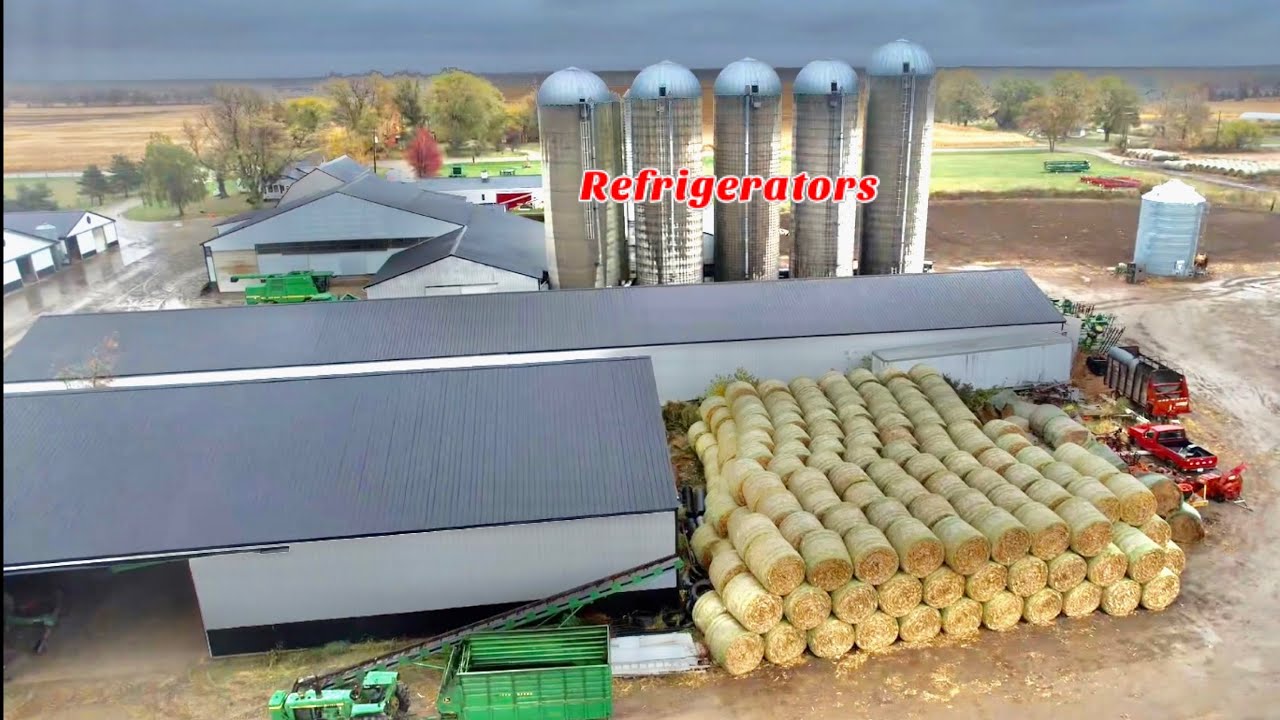 Refrigerators Are FULL Let s Go Pumpkin Picking YouTube refrigerators-are-full-let-s-go-pumpkin-picking-youtube
