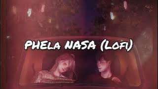 Pehla Nasha [Lofi]