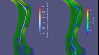 Coupled Telemac2D and Sisyphe suspended sediment simulation of a river