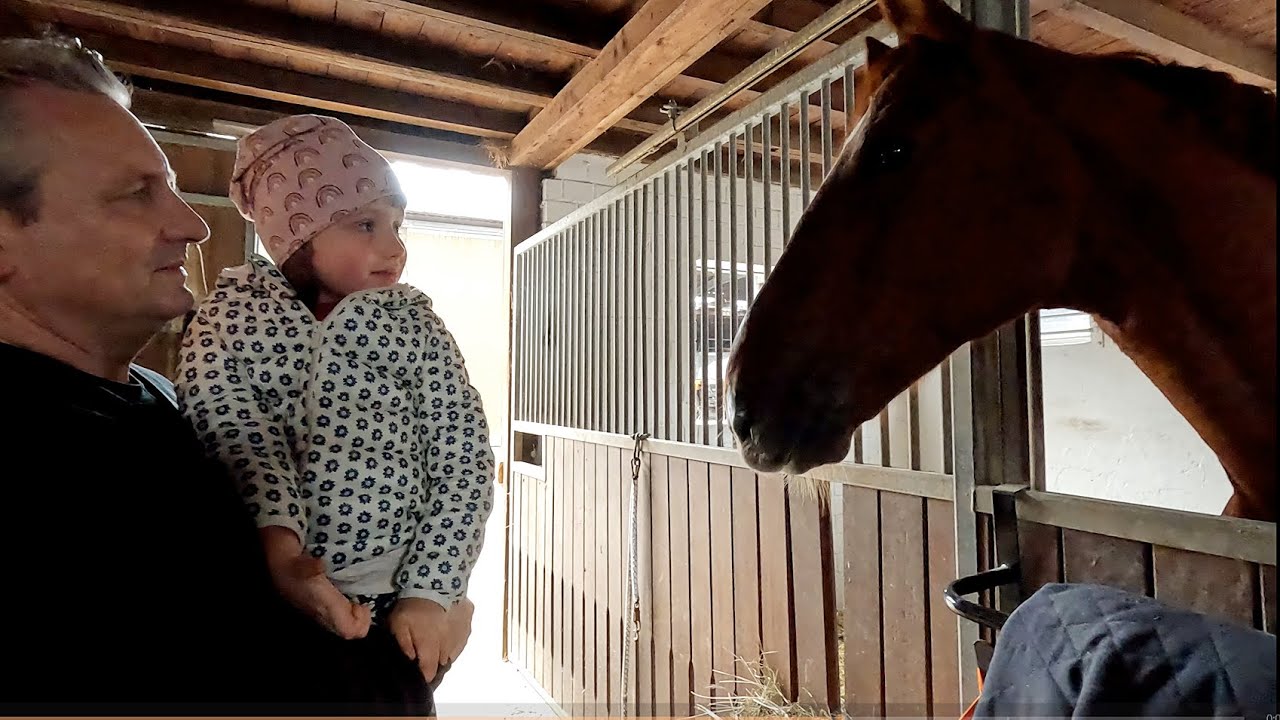 Осень в конюшне