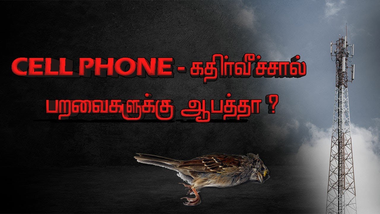 CELLPHONE - கதிர்வீச்சால்  பறவைகளுக்கு ஆபத்தா ? | Cellphone Radiation | Tamil | A.R.Academy