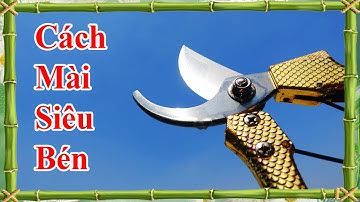 cách mài kéo cắt cây siêu bén và nhanh nhất, cách chọn mua kéo cắt cây cảnh bonsai