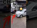 CHEIO DE LEÃOZINHO😂