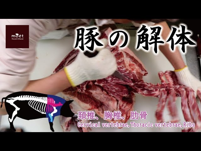 肉処理】豚さばき。豚半丸脱骨・解体。Porc deboning - YouTube