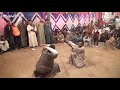 لو مسمعتش عن الفرحه تعاله اسأل عليها فى المحامده القبليه من افراح الحلوه