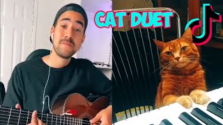 Man Plays Jazz Duet With His Cat on TikTok