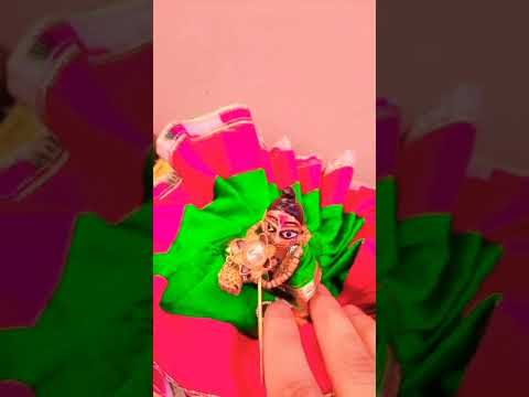 Danywad Kiirshna Mera Sath Dene K Liye Shortvedio Radhe Radhekrishna 