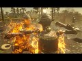 Red Dead Redemption 2 - Brutal Robots Kills Vol.11 (Euphoria Ragdolls)