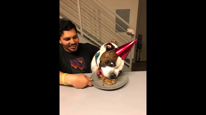 Adoptaversary Video