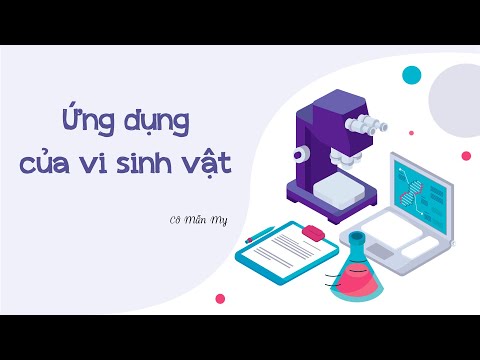 Video: Làm thế nào để chúng ta có lợi từ vi sinh vật?