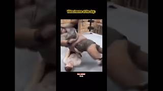 MEME/VIDEO OF THE DAY #funny #cool #lol #laughs #laugh #laughoutloud #laughing #laughingvideo #jump