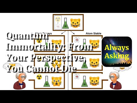 Video: Quantum Immortality: The Impossibility Of Death From The Point Of View Of Physics - Alternative View