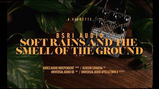 BSRI Audio Soft Rains and the Smell of the Ground V1 Reverb | Vignette Demo screenshot 3