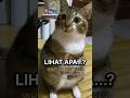 Ada Sesuatu yang Kita Gak Lihat…