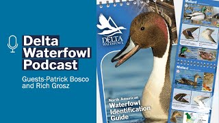 Delta Waterfowl Podcast: Law Enforcement and the Waterfowl ID Guide with the USFWS, Episode 17