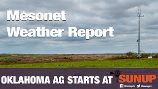 Mesonet Weather (2/29/20)