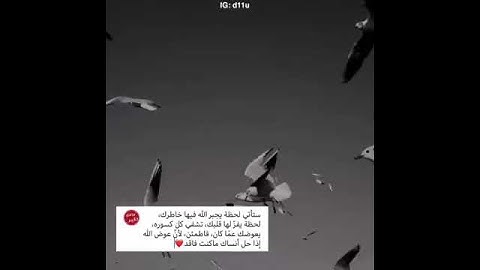 طُمَئنِينةٌ لِرُوحك الْمُنهَكة 💚 || حالات واتس اب قران _ تلاوة خاشعة سلمان العتيبي || Quran status