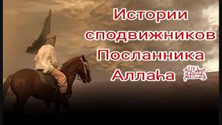 Истории сподвижников.Абу Суфьян ибн аль-Харис (да будет доволен им Аллаh).