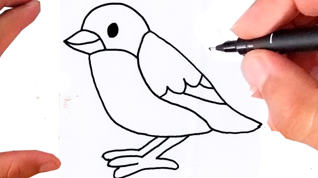 como-desenhar-um-passaro-facil-passo-a-passo