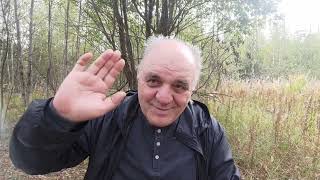 Промежуточные итоги развития Духовного интеллекта