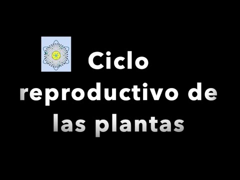 Video: ¿Cuál es el propósito de la alternancia de generaciones en las plantas?