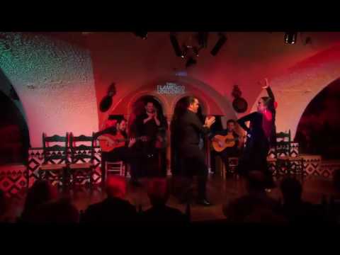Noches Mágicas de Antología Belén López por Tarantos  @TablaoCordobes