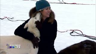 Wisconsin Life | Dog Sledding screenshot 5