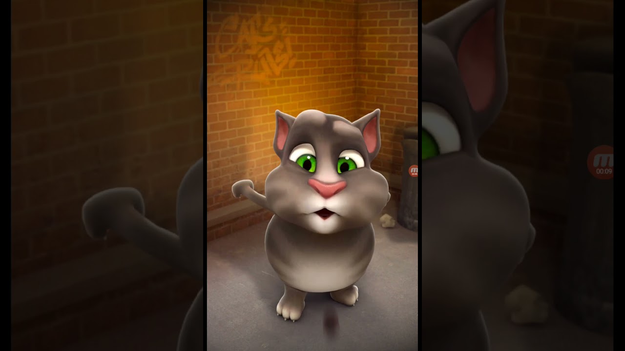 Talking Tom Cat New Video Best Funny Android GamePlay 