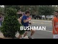 BUSHMAN AT Florida Gators Football game - FUNNY VIDEO - NEW