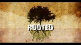Rooted Series Bumper