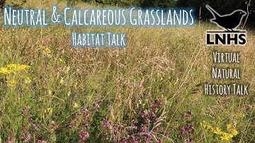 Habitat Talk: Neutral and Calcareous Grasslands