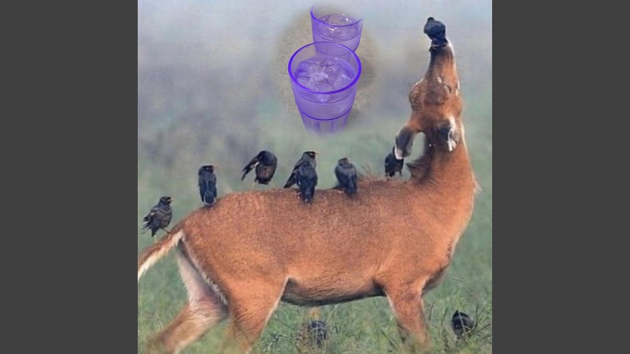 Black eyed (feat. Natro)